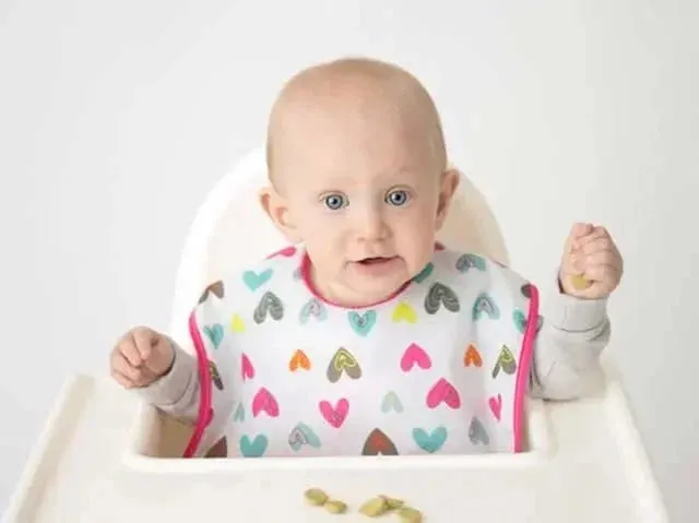 Kushies Baby Waterproof Cleanbib 12m 